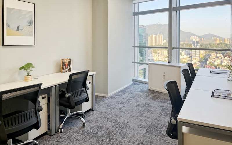 No 1001 Shennan East Avenue, Luohu Image 10