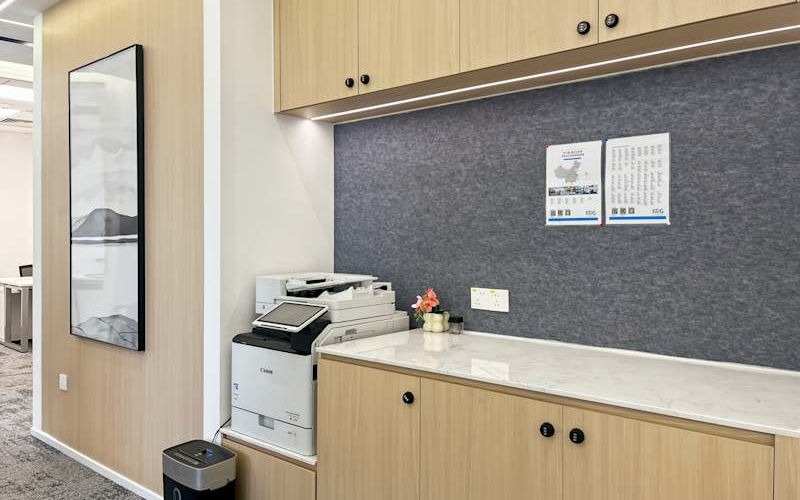 No 1001 Shennan East Avenue, Luohu Image 8