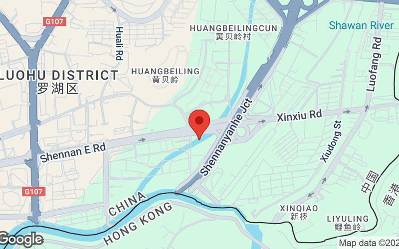 No 1001 Shennan East Avenue, Luohu Image 12