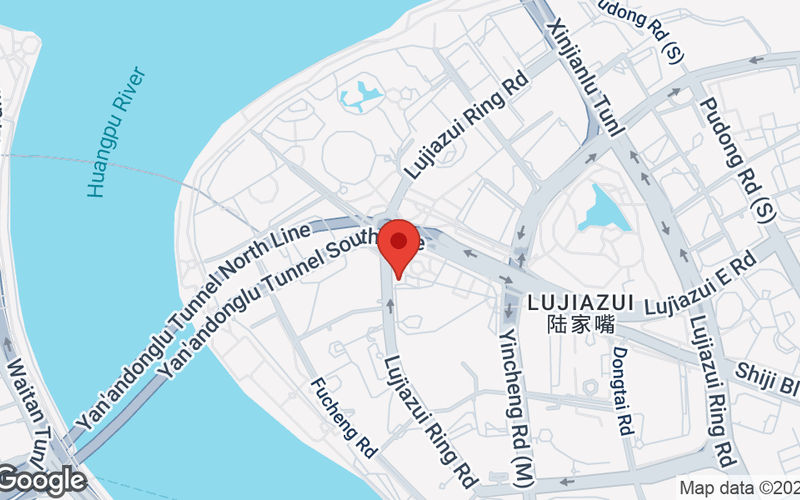 8 Century Avenue, Pudong Image 7