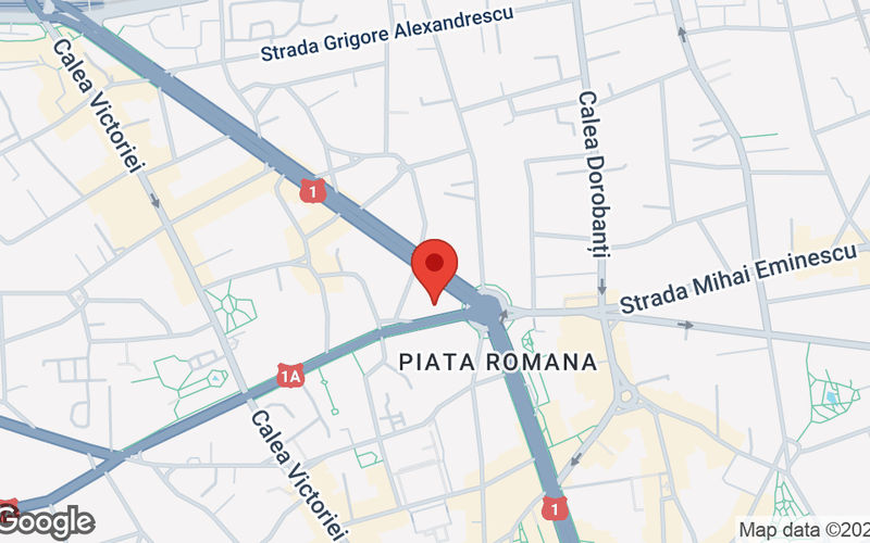 5 Str D I Mendeleev, București Image 9