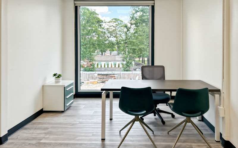 25814 Budde Road, Spring Image 5