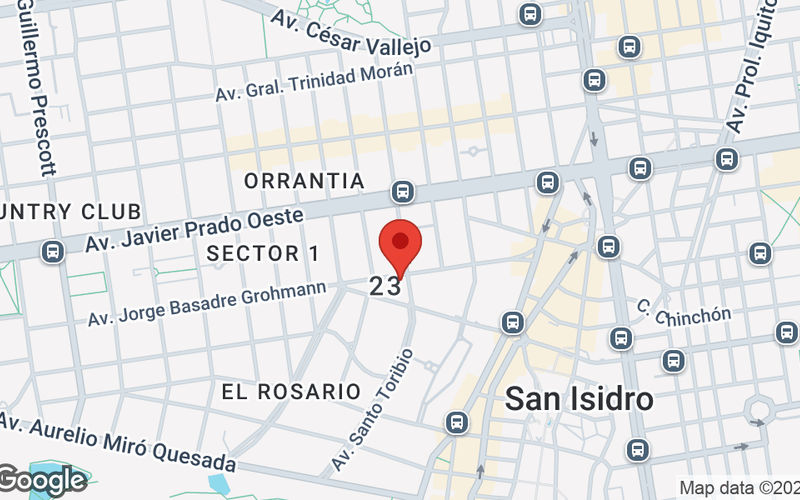 607 Jorge Basadre Avenue San Isidro, Lima Image 10