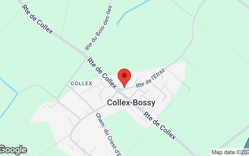 3 Route De L'etraz, Collex-bossy Image 5