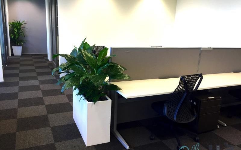 123 Eagle Street, Brisbane Image 1