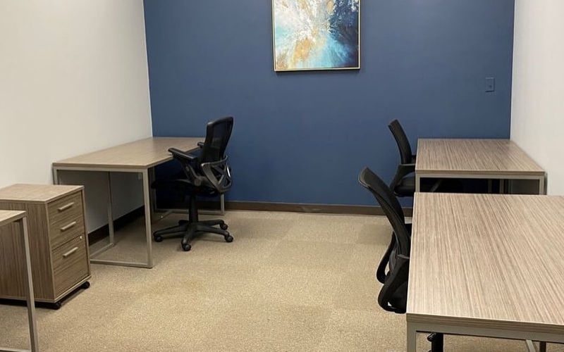 125 Michael Drive, Syosset Image 5