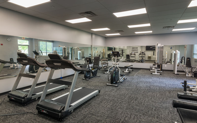 105 Maxess Rd, Melville Image 8