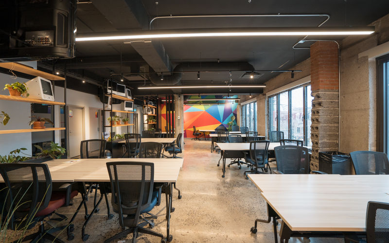 4388 Rue Saint-denis, Montréal Image 13