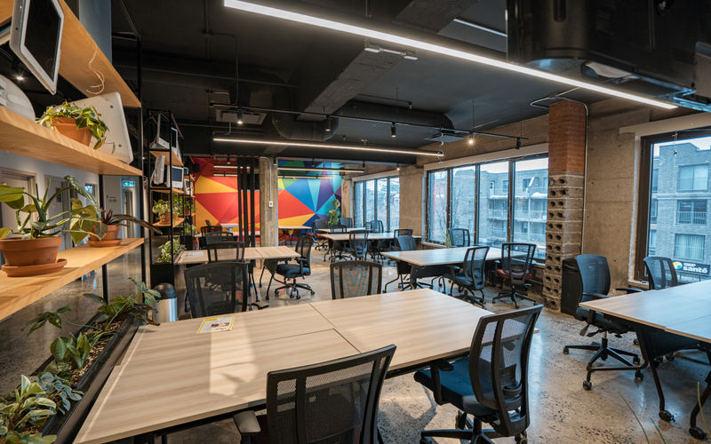 4388 Rue Saint-denis, Montréal Image 11