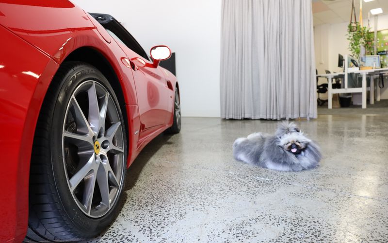 15 Gracie St, North Melbourne Image 6