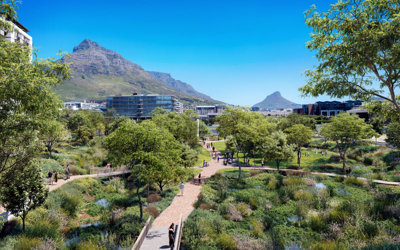 51 Gogosoa Street, Observatory Image 9