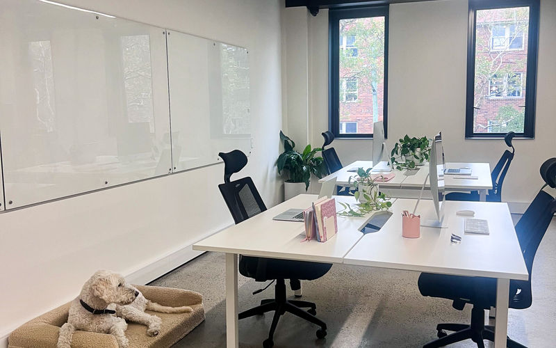 619 Elizabeth Street, Surry Hills Image 6