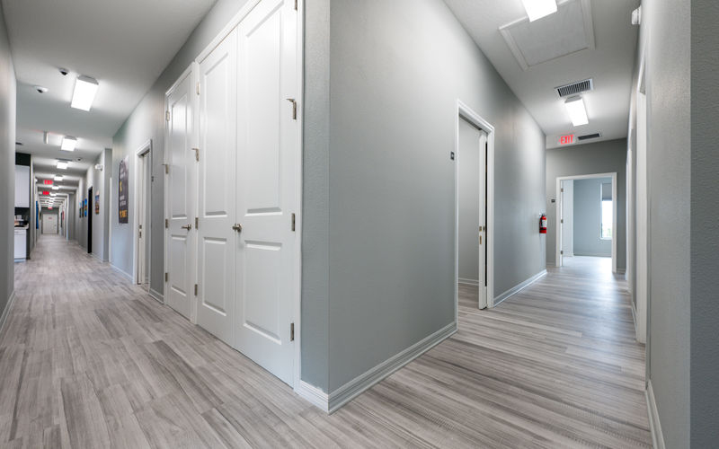 2831 Allegra Way, Lutz Image 3