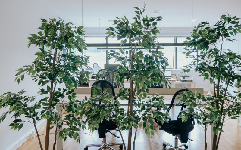 98 Rua Doutor Carlos Pires Felgueiras, Maia Image 5