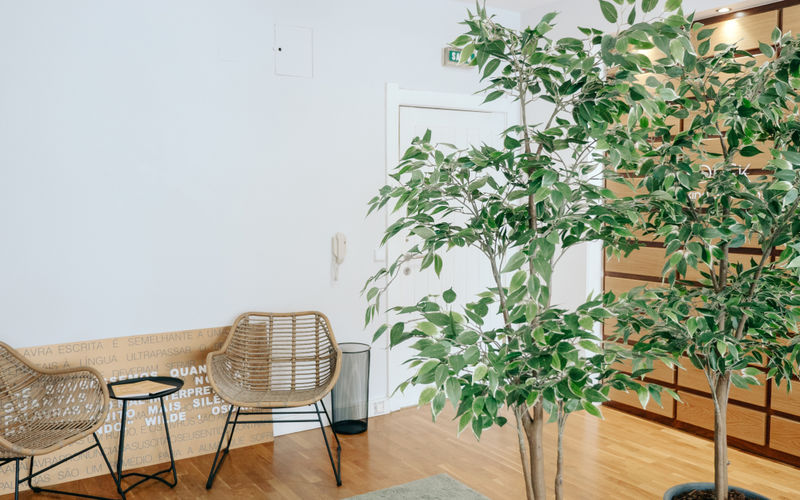 98 Rua Doutor Carlos Pires Felgueiras, Maia Image 2