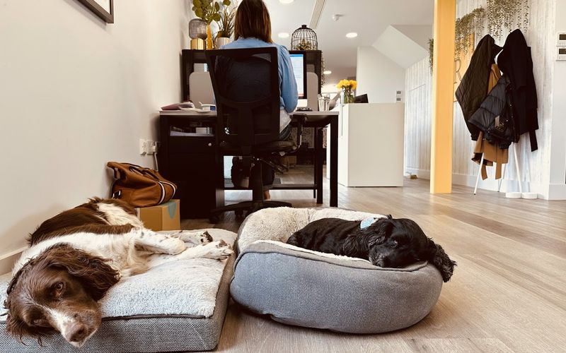 Wickham Hall Hadham Road, Bishop's Stortford Image 7