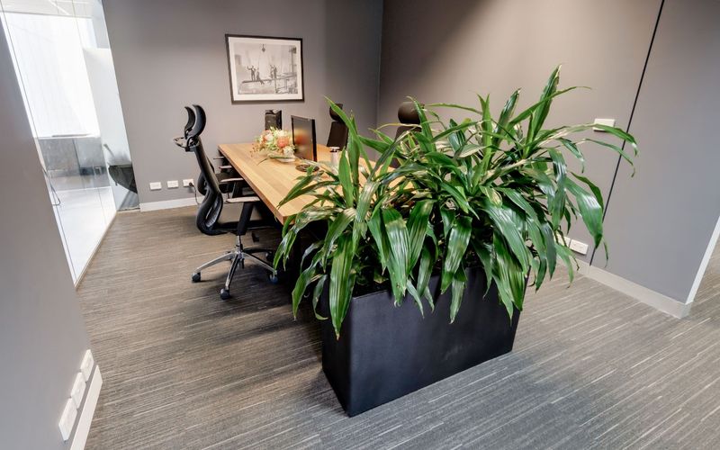 330 Collins Street, Melbourne Image 4