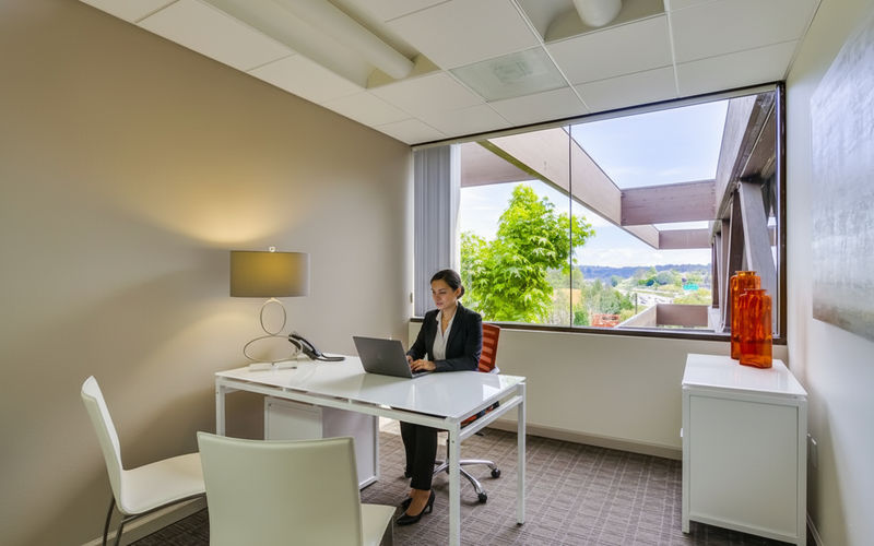 445 Marine View Ave, Del Mar Image 20