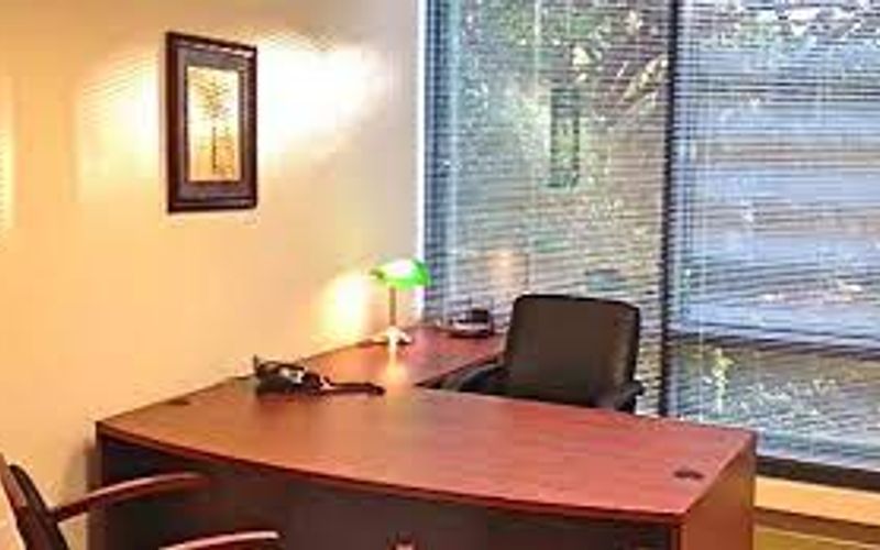 10150 Highland Manor Drive, Tampa Image 9