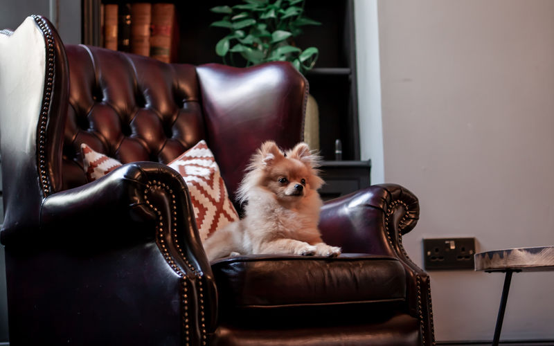 1 Bedford Row, Greater London Image 3