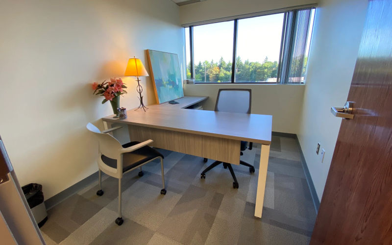 455 E Eisenhower Pkwy, Ann Arbor Image 2