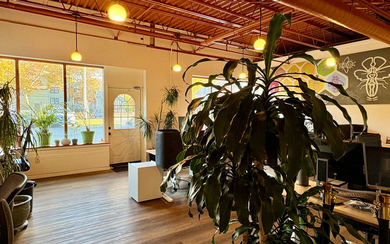 6 Eliza Street, Beacon Image 4