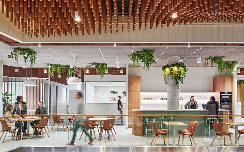 793 Burke Road, Camberwell Image 6