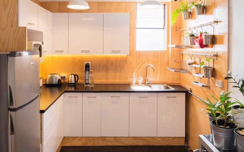 2 Epsom Road, Zetland Image 4