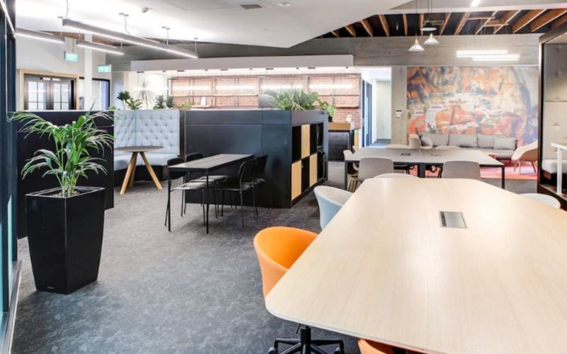 218 George Street, Dunedin Image 6