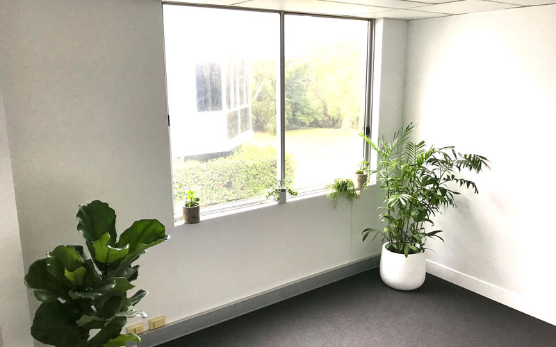 49 Butterfield Street, Herston Image 2