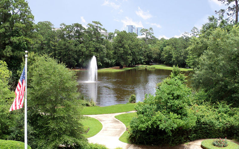 10210 Grogans Mill Road, Woodlands Image 5