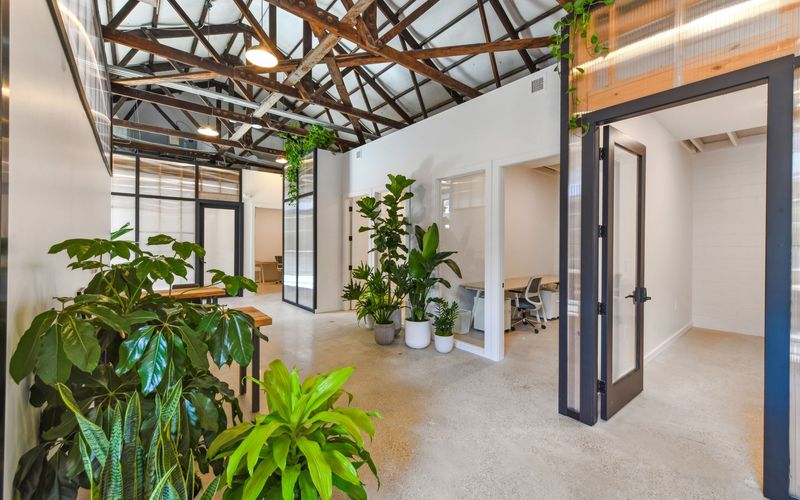 4157 Saint Louis Street, New Orleans Image 18