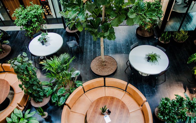 100 Fred Roeskestraat, Amsterdam Image 3