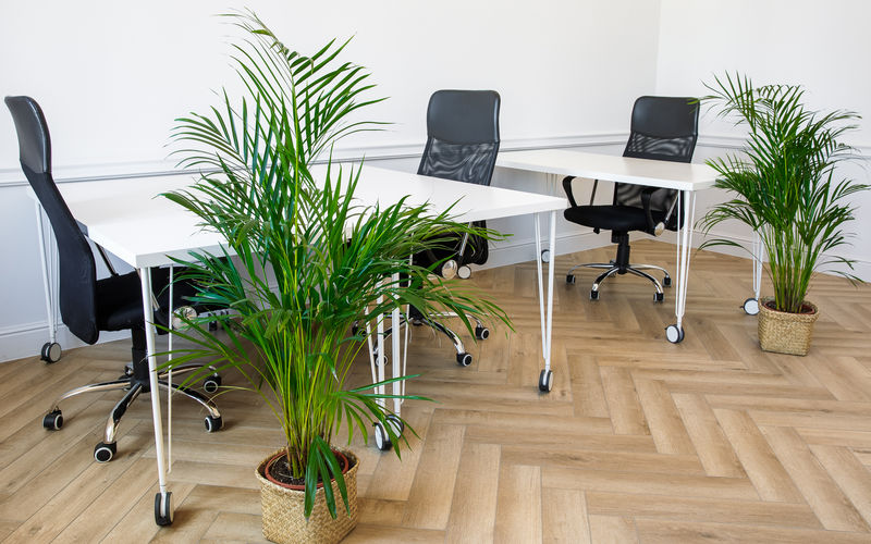 26 Aleja Grunwaldzka, Gdańsk Image 3