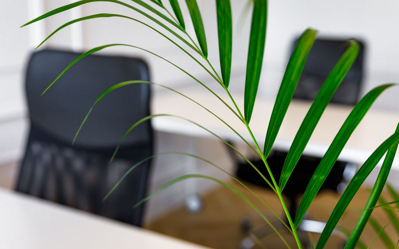 26 Aleja Grunwaldzka, Gdańsk Image 9