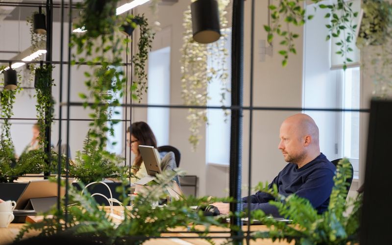 R Guedes De Azevedo 131, Porto Image 17