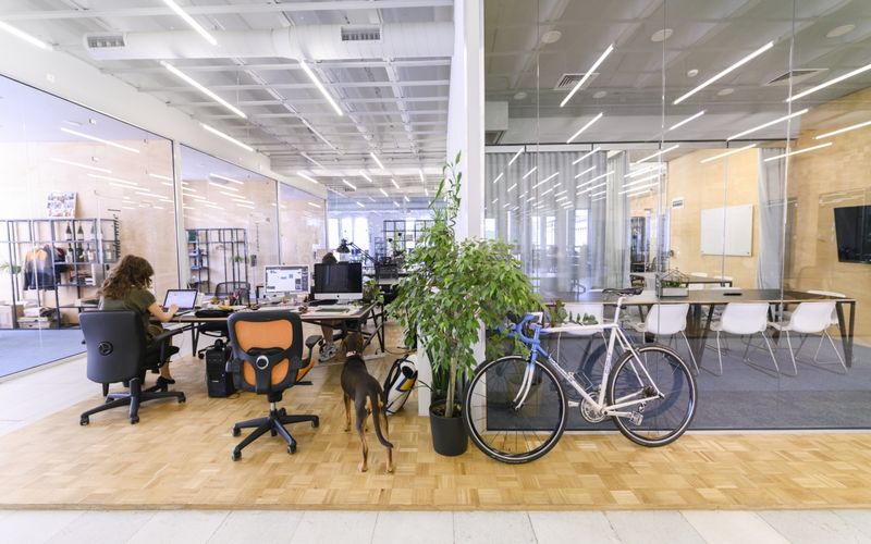 6 Shipka Street, Sofia Image 6