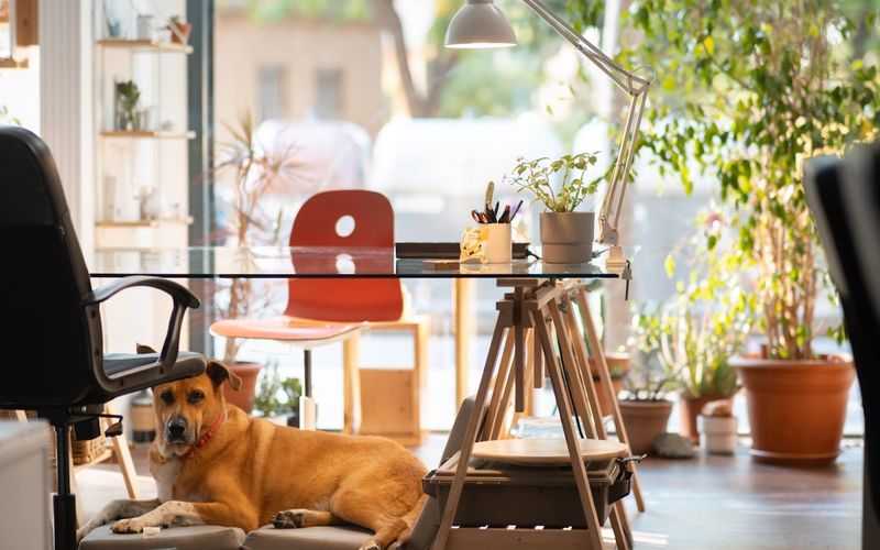 74 Carrer Del Perello, Barcelona Image 6