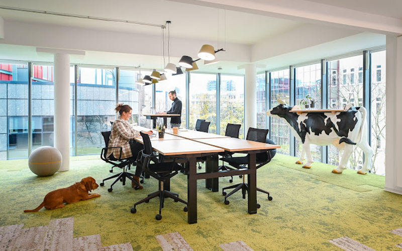 30 Hansastrasse, Dortmund Image 10