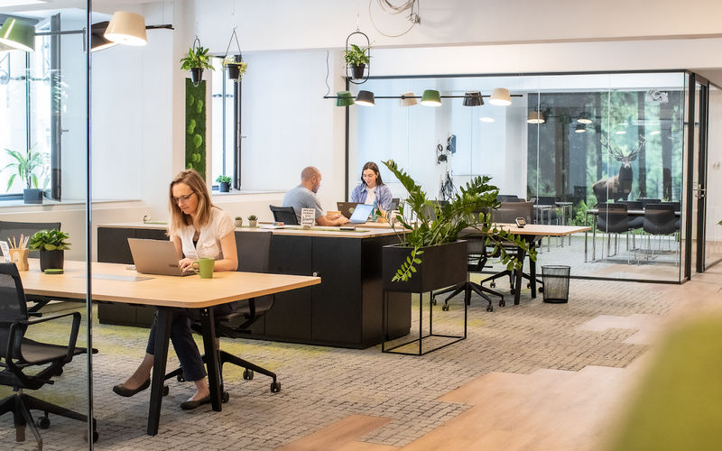 41 Lindenallee, Essen Image 5