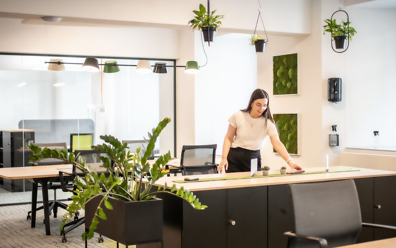 41 Lindenallee, Essen Image 5