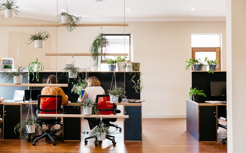 268 Pirie Street, Adelaide Image 5