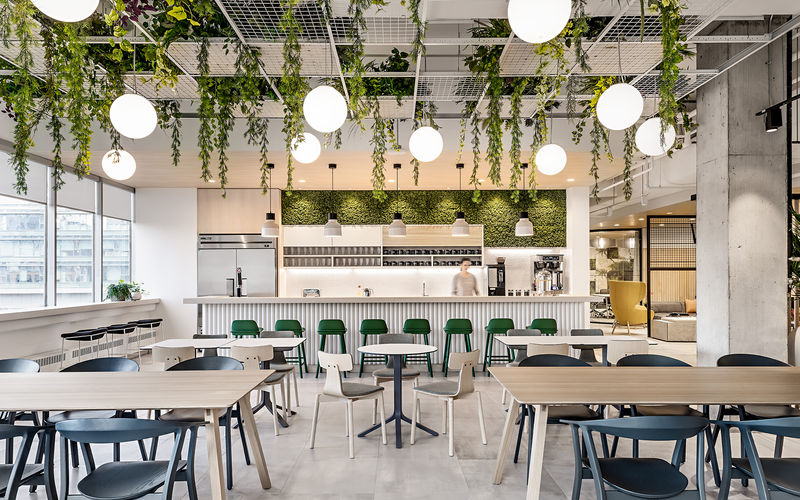 207 Adelaide Street East, Toronto Image 18