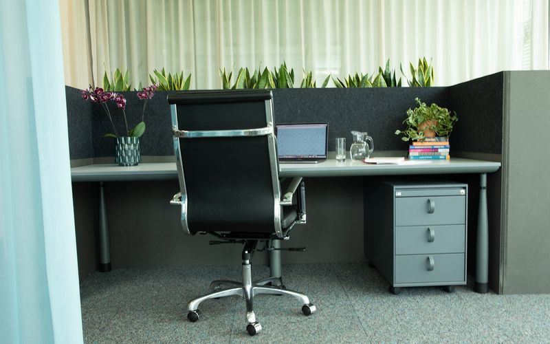 Millennium Pk 6, Lustenau Image 11