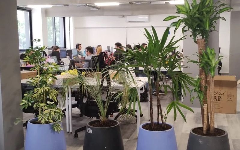 4601 Cnel Niceto Vega, Buenos Aires Image 3