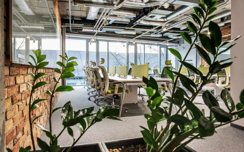 24 Dekerta, Kraków Image 4