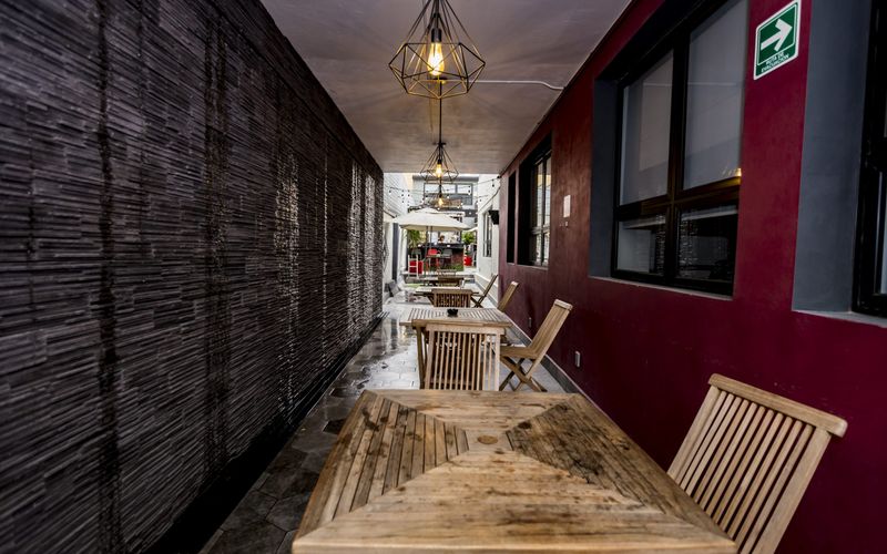 316 Eugenio Sue Polanco Polanco Iv Secc Miguel Hidalgo, Ciudad De México Image 5