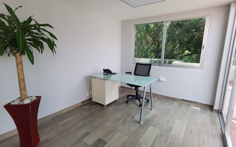 85-B Edgar Allan Poe Polanco Polanco Iii Secc Miguel Hidalgo, Ciudad De México Image 4