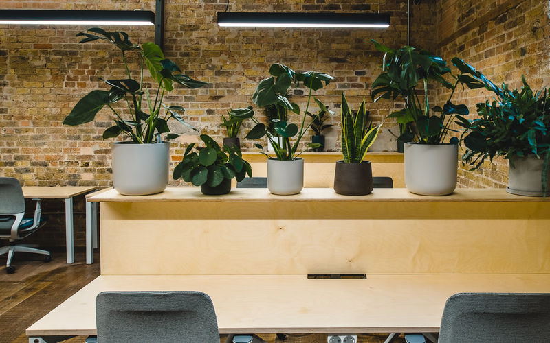 5 - 6 Grays Yard Springfield Road, Chelmsford Image 7