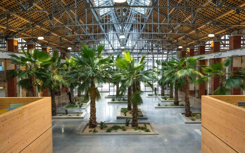 55 Av Louis Breguet, Toulouse Image 7